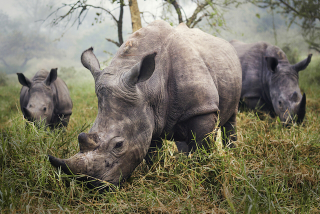 Illustration for article titled Here Are the Winners of National Geographic's Traveler Photo Contest